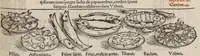 An illustration from Tacuini sanitatis (1531)