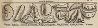 An illustration from Tacuini sanitatis (1531)