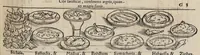 Picture 24 of 45 from Tacuini sanitatis (1531), leaf 78