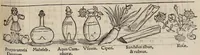 Picture 31 of 45 from Tacuini sanitatis (1531), leaf 90