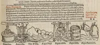 Picture 32 of 45 from Tacuini sanitatis (1531), leaf 92