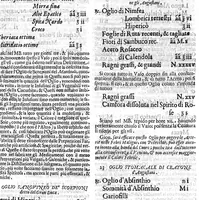 An illustration from Nuovo, et universale theatro farmaceutico. Fondato sopra le preparationi farmaceutiche scritte da'medici antichi, greci, e arabi; principalmente da Galeno, e Mesue / ... ampliato oltre le fabriche ... contenute ne gli antidotarii Veneti di Giorgio Melichio, aumentato da Alberto Stecchini ... con quelle ... compositioni ancora ... da gli più lodati scrittori ... (1667)
