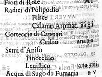 An illustration from Nuovo, et universale theatro farmaceutico. Fondato sopra le preparationi farmaceutiche scritte da'medici antichi, greci, e arabi; principalmente da Galeno, e Mesue / ... ampliato oltre le fabriche ... contenute ne gli antidotarii Veneti di Giorgio Melichio, aumentato da Alberto Stecchini ... con quelle ... compositioni ancora ... da gli più lodati scrittori ... (1667)