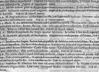 An illustration from Theophili Boneti ... Sepulchretum sive anatomia practica : ex cadaveribus morbo denatis, proponens historias et observationes omnium humani corporis affectuum, ipsorumq; causas reconditas revelans. Quo nomine, tam pathologiae genuinae, quàm nosocomiae orthodoxae fundatrix, imo medicinae veteris ac novae promptuarium, dici meretur. Cum indicibus necessariis / Théophile Bonet. - Editio altera, quam novis commentariis et observationibus innumeris illustravit, ac tertia ad minimum parte auctiorem fecit Johannes Jacobus Mangetus ... Tomus secundus (1700)