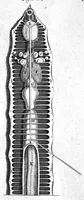 An illustration from Dr Willis's practice of physick, being the whole works of that renowned and famous physician... (1684)