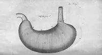 An illustration from Dr Willis's practice of physick, being the whole works of that renowned and famous physician... (1684)
