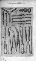 An illustration from Les Oeuvres de chirurgie de Jacques Guillemeau, chirurgien ordinaire du Roy et Juré à paris, divisées en treize livres. Avec les Portraicts & Figures Anatomiques de toutes les parties du corps humain. Et des Instrumens necessaires au Chirurgien. Derniere edition (1602)