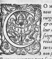 An illustration from Les Oeuvres de chirurgie de Jacques Guillemeau, chirurgien ordinaire du Roy et Juré à paris, divisées en treize livres. Avec les Portraicts & Figures Anatomiques de toutes les parties du corps humain. Et des Instrumens necessaires au Chirurgien. Derniere edition (1602)