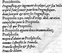Picture 27 of 27 from Les Oeuvres de chirurgie de Jacques Guillemeau, chirurgien ordinaire du Roy et Juré à paris, divisées en treize livres. Avec les Portraicts & Figures Anatomiques de toutes les parties du corps humain. Et des Instrumens necessaires au Chirurgien. Derniere edition (1602), leaf 403