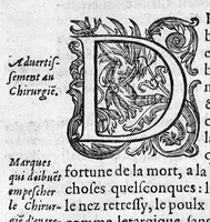 An illustration from La chirurgie françoise, recueillie des Anciens Medecins et Chirurgiens avec plusieurs figures des Instrumens necesseres pour l’operation Manuelle par Jacques Guillemeau D’Orleans, Chirurgien du Roy et Juré a Paris (1594)