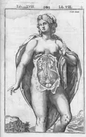 An illustration from Tabulae anatomicae LXXIIX omnes novae nec ante hac visae. Edit. par Daniel Bucretius (1627)