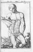 An illustration from Tabulae anatomicae LXXIIX omnes novae nec ante hac visae. Edit. par Daniel Bucretius (1627)