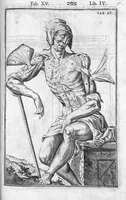 An illustration from Tabulae anatomicae LXXIIX omnes novae nec ante hac visae. Edit. par Daniel Bucretius (1627)