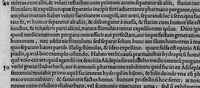 An illustration from Gabrielis Falloppii Mutinensis Physici ac Chirurgi praeclarissimi ... Opera omnia (1600)