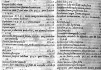 An illustration from Gabrielis Falloppii Mutinensis Physici ac Chirurgi praeclarissimi ... Opera omnia (1600)
