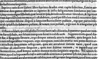 An illustration from Gabrielis Falloppii...operum...tomus secundus (1600)