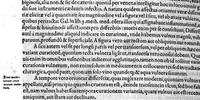 An illustration from Gabrielis Falloppii...operum...tomus secundus (1600)