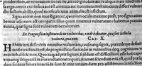 Picture 7 of 12 from Gabrielis Falloppii...operum...tomus secundus (1600), leaf 169