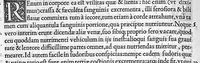 An illustration from De dissectione partium corporis humani libri tres, à Carolo Stephano, doctore Medico, editi. Unà cum figuris, et incisionum declarationibus, à Stephano Riverio Chirurgo compositis (1545)