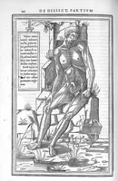 An illustration from De dissectione partium corporis humani libri tres, à Carolo Stephano, doctore Medico, editi. Unà cum figuris, et incisionum declarationibus, à Stephano Riverio Chirurgo compositis (1545)