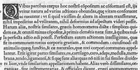 An illustration from De dissectione partium corporis humani libri tres, à Carolo Stephano, doctore Medico, editi. Unà cum figuris, et incisionum declarationibus, à Stephano Riverio Chirurgo compositis (1545)