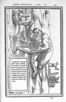 An illustration from De dissectione partium corporis humani libri tres, à Carolo Stephano, doctore Medico, editi. Unà cum figuris, et incisionum declarationibus, à Stephano Riverio Chirurgo compositis (1545)