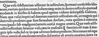 An illustration from De dissectione partium corporis humani libri tres, à Carolo Stephano, doctore Medico, editi. Unà cum figuris, et incisionum declarationibus, à Stephano Riverio Chirurgo compositis (1545)