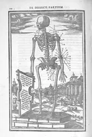 An illustration from De dissectione partium corporis humani libri tres, à Carolo Stephano, doctore Medico, editi. Unà cum figuris, et incisionum declarationibus, à Stephano Riverio Chirurgo compositis (1545)