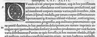 An illustration from De dissectione partium corporis humani libri tres, à Carolo Stephano, doctore Medico, editi. Unà cum figuris, et incisionum declarationibus, à Stephano Riverio Chirurgo compositis (1545)