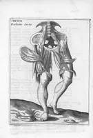 An illustration from Myographia Nova sive Musculorum omnium (in Corpore Humano hactenus repertorum) accuratissima descriptio... (1684)