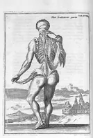 An illustration from Myographia Nova sive Musculorum omnium (in Corpore Humano hactenus repertorum) accuratissima descriptio... (1687)