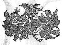 An illustration from Hieronymi Fabricii ab aquapendente, Equite Sancti Marci, et anatomico supraordinario In Florentissimo Gimnasio Patavino. Opera anatomica. De formato foetu, formatione ovi et pulli, locutione et eius instrumentis, brutorum loquela (1625)