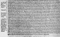 An illustration from Joan. Philippi Ingrassiae,... In Galeni librum de Ossibus... commentaria, nunc primum sedulo in lucem edita... quibus appositus est graecus Galeni contextus, una cum nova et fideli ejusdem Ingrassiae in latinum versione (1603)
