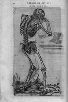 An illustration from Joan. Philippi Ingrassiae,... In Galeni librum de Ossibus... commentaria, nunc primum sedulo in lucem edita... quibus appositus est graecus Galeni contextus, una cum nova et fideli ejusdem Ingrassiae in latinum versione (1603)