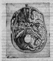 An illustration from Joan. Philippi Ingrassiae,... In Galeni librum de Ossibus... commentaria, nunc primum sedulo in lucem edita... quibus appositus est graecus Galeni contextus, una cum nova et fideli ejusdem Ingrassiae in latinum versione (1603)