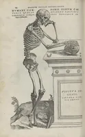 An illustration from Andreae Vesalii,... de Humani corporis fabrica libri septem... (1543)