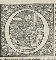 An illustration from Andreae Vesalii,... de Humani corporis fabrica libri septem... (1543)