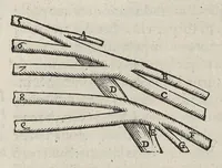 An illustration from Andreae Vesalii,... de Humani corporis fabrica libri septem... (1543)