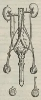 An illustration from Andreae Vesalii,... de Humani corporis fabrica libri septem... (1543)