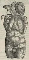 An illustration from Andreae Vesalii,... de Humani corporis fabrica libri septem... (1543)