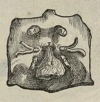 Picture 63 of 64 from Andreae Vesalii,... de Humani corporis fabrica libri septem... (1543), leaf 643