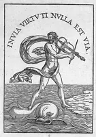 Picture 15 of 15 from Andreae Vesalii,... de Humani corporis fabrica libri septem... (1555), leaf 881