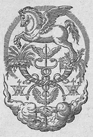 An illustration from Les portraits anatomiques de toutes les parties du corps humain, gravez en taille douce, par le commandement de feu Henry huictiesme, Roy d’Angleterre. Ensemble l’Abbregé d’André Vesal, et l’explication d’iceux, accompagnee d’une declaration Anatomique. Par Jaques Grevin, de Clermont en Beauvoisis, Medecin à Paris, (1569)