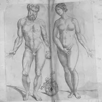 An illustration from Les portraits anatomiques de toutes les parties du corps humain, gravez en taille douce, par le commandement de feu Henry huictiesme, Roy d’Angleterre. Ensemble l’Abbregé d’André Vesal, et l’explication d’iceux, accompagnee d’une declaration Anatomique. Par Jaques Grevin, de Clermont en Beauvoisis, Medecin à Paris, (1569)