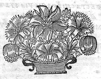 An illustration from Les Oeuvres de N. Abraham de La Framboisière... où sont méthodiquement descrites l'histoire du monde, la médecine, la chirurgie et la pharmacie, pour la conservation de la santé, et la guérison des maladies internes et externes ... (1669)