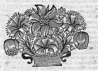 An illustration from Les Oeuvres de N. Abraham de La Framboisière... où sont méthodiquement descrites l'histoire du monde, la médecine, la chirurgie et la pharmacie, pour la conservation de la santé, et la guérison des maladies internes et externes ... (1669)