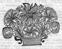 An illustration from Les Oeuvres de N. Abraham de La Framboisière... où sont méthodiquement descrites l'histoire du monde, la médecine, la chirurgie et la pharmacie, pour la conservation de la santé, et la guérison des maladies internes et externes ... (1669)