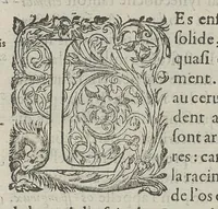 An illustration from Toutes les Oeuvres...trad. par Théophile Gelée (1613)