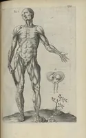 An illustration from Toutes les Oeuvres...trad. par Théophile Gelée (1613)