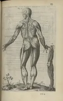 An illustration from Toutes les Oeuvres...trad. par Théophile Gelée (1613)
